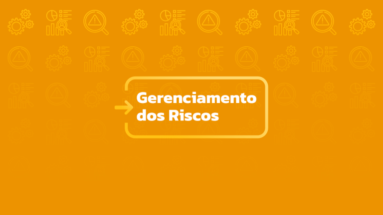 Gerenciamento dos Riscos