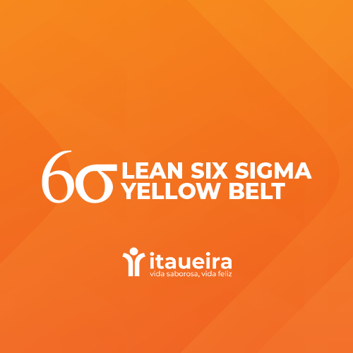 [Itaueira] Lean Six Sigma Yellow Belt (Turma Dezembro/2024)